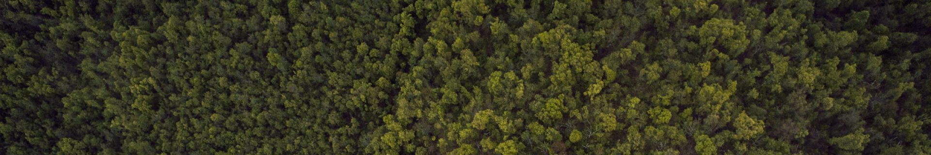 Headerbild: Häufige Fragen beim Stockverkauf.